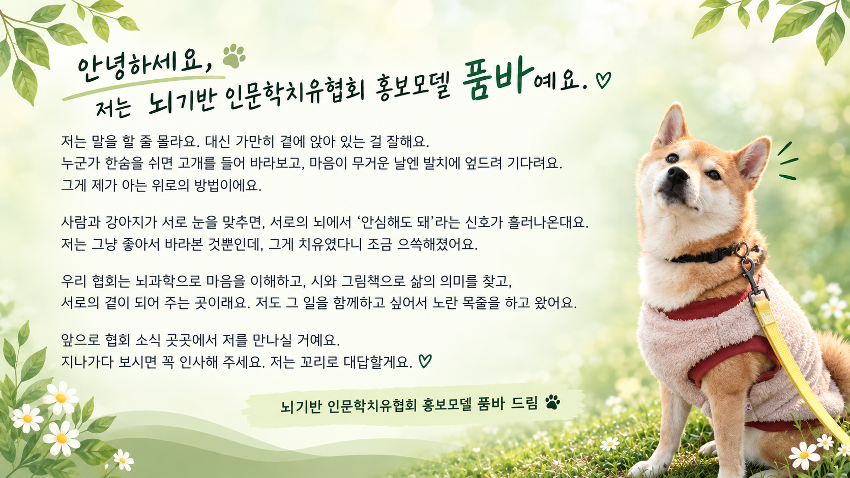 협회 홍보모델 품바